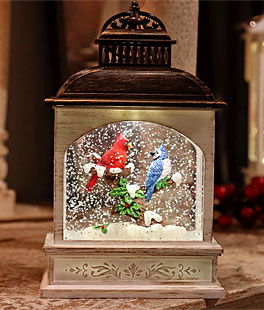 8.25 Inch Lighted Cardinal With Blue Jay Water Lantern In Swirling Glitter