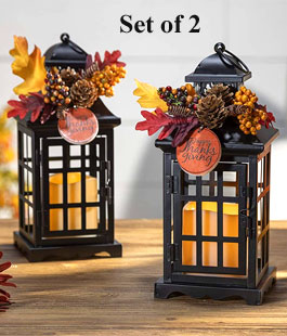 Set of 2 Battery Operated Lighted Fall Metal Lanterns with Floral Accents and Timer