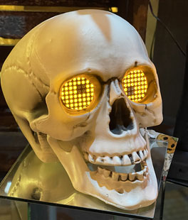 Halloween Skull With Moving Lighted Digital Eyes and Sound Battery Operated