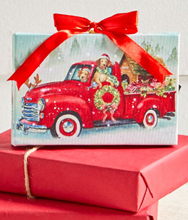 6 Inch Tabletop LED Lighted Print On Canvas - Dogs In A Red Truck With Stand