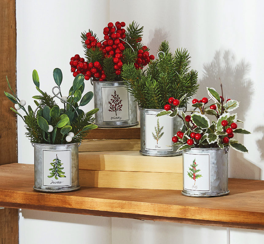 Winterberry, Pine, Holly and Mistletoe Assorted 4 In Galvanized ...