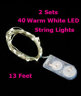 2 PACK - 40 Warm White LED Battery Mini Lights on Flexible Wire 13 Feet - Submersible