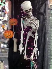 Hanging Halloween Skeleton - 36 Inch