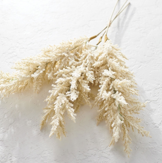 Decorating With Pampas Grass - Pampas Grass Decor Trend