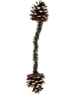 Set of 12 Snow Capped Pine Cone Ties - 6 Inch
