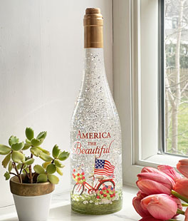 Americana Lighted Water Bottle America The Beautiful - NEW 2024