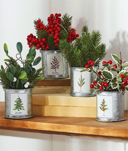 Winterberry, Pine, Holly and Mistletoe Assorted 4 In Galvanized Decorative Buckets