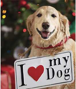 I Love My Dog Hanging Ornament Sign - Metal 13.75 Inch