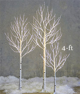 4 Foot Lighted Birch Tree - 400 Warm White Fairy Lights - From RAZ