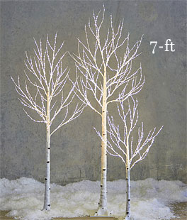 7 Foot Lighted Birch Tree - 750 Warm White Fairy Lights - From RAZ