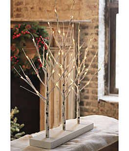 2 Foot Electric Birch Grove on Base - 28 Inch 56 Warm White LED Lights