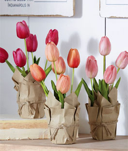 Real Touch Potted Tulips Assorted 3 Wrapped in Paper - 10 Inch