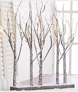 Pre-Lit LED Trees | Indoor or Outdoor Use