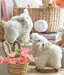 Sherpa Lamb Set of 2 Assorted - 8 Inch