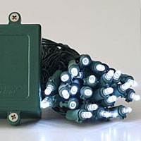 Battery Operated Christmas Lights 50 White LED's Indoor - Outdoor, Timer