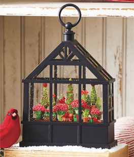 Lighted Water Greenhouse Cardinals, Red Amaryllis and Evergreens