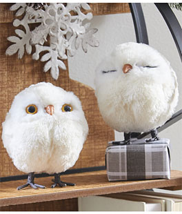 4 Inch White Owl Ornaments Set of 2 Assorted