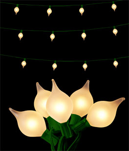 Kismet String Light 14 Feet - 15 Matte White Lights On Green Wire - Connect Up To 8 Strands